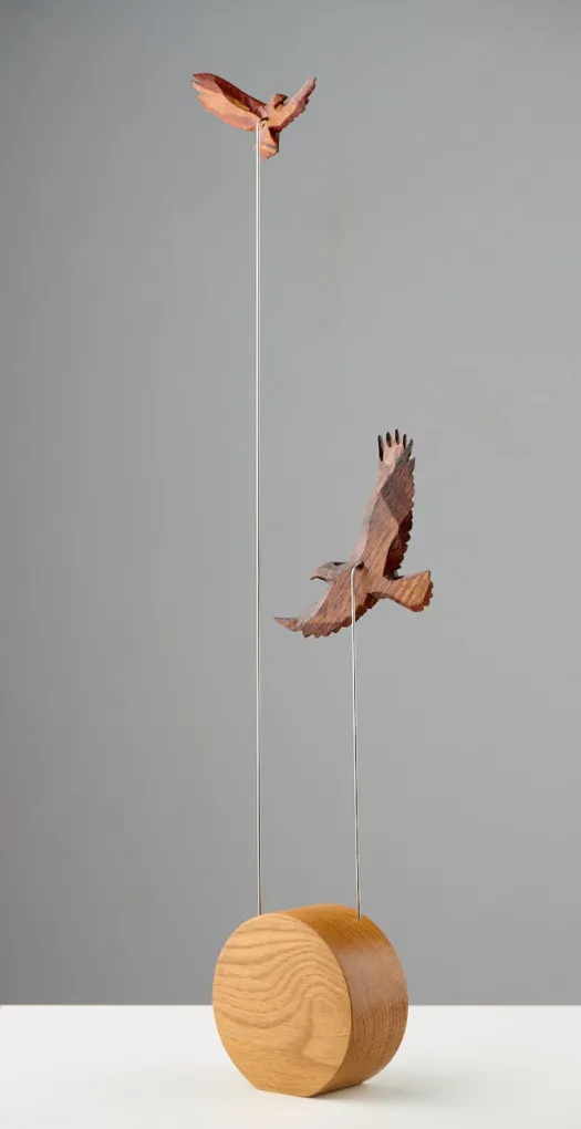 Eagles Soaring by 