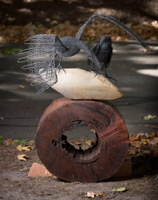 2 Birds With One Stone by Vicki Combridge