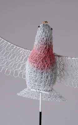 A Cat Amongst the Pigeons by Vicki Combridge