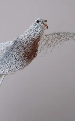 A Cat Amongst the Pigeons by Vicki Combridge