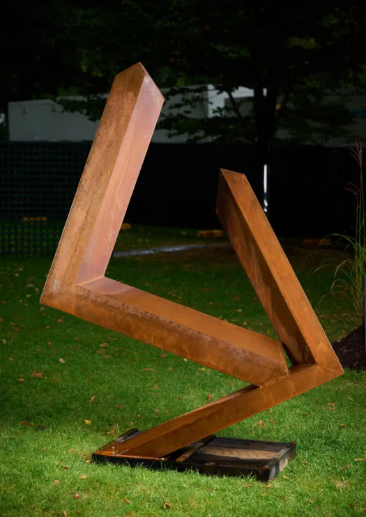 A change of direction by Patrick Flanagan