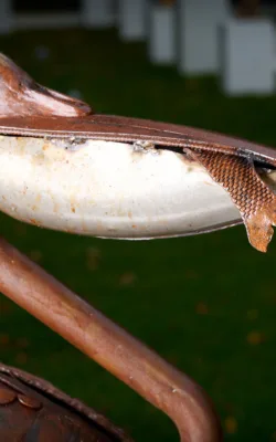 A fish dinner! by Tim Kervin