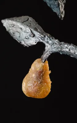 A Silver Nutmeg and a Golden Pear by Jenny Rickards