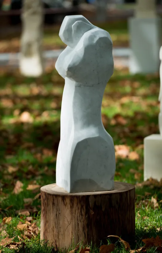 Accent by Anthony Kim