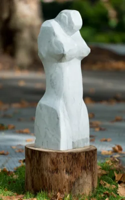 Accent by Anthony Kim