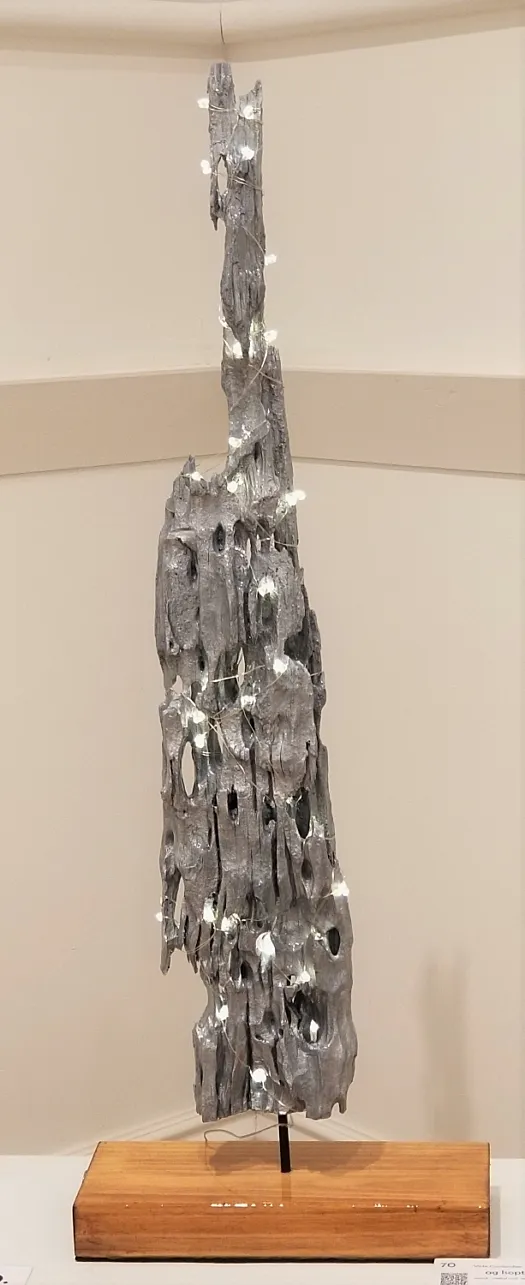 ag Isoptera by Vicki Combridge