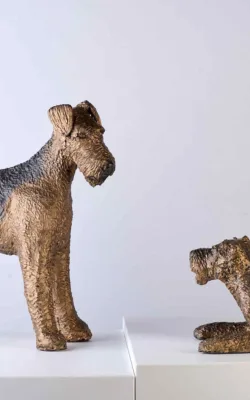 Airies by Aukje Van Vark