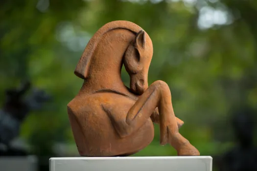 Alogo by Anne Anderson