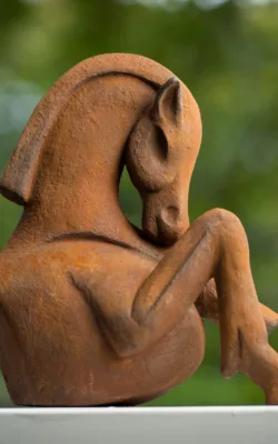 Alogo by Anne Anderson