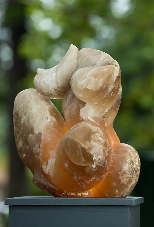 Amber by Jenny Whiteside