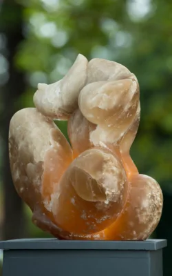 Amber by Jenny Whiteside