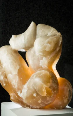 Amber by Jenny Whiteside