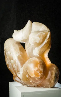 Amber by Jenny Whiteside
