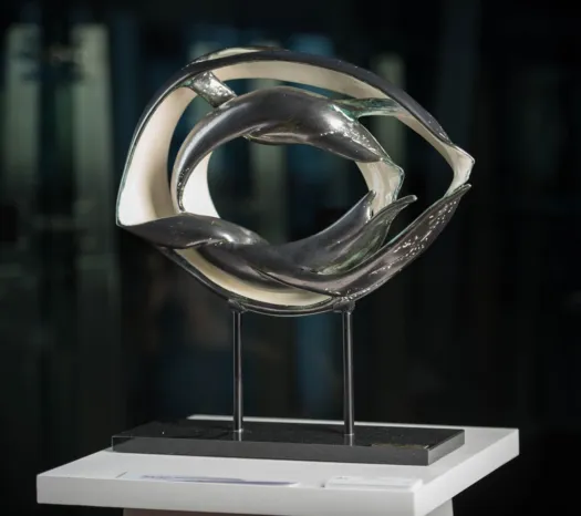 An Eye by Elnaz Nourizadeh