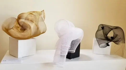 Aorta Fauna Sorta - a b c ! by Jackie Mackinnon