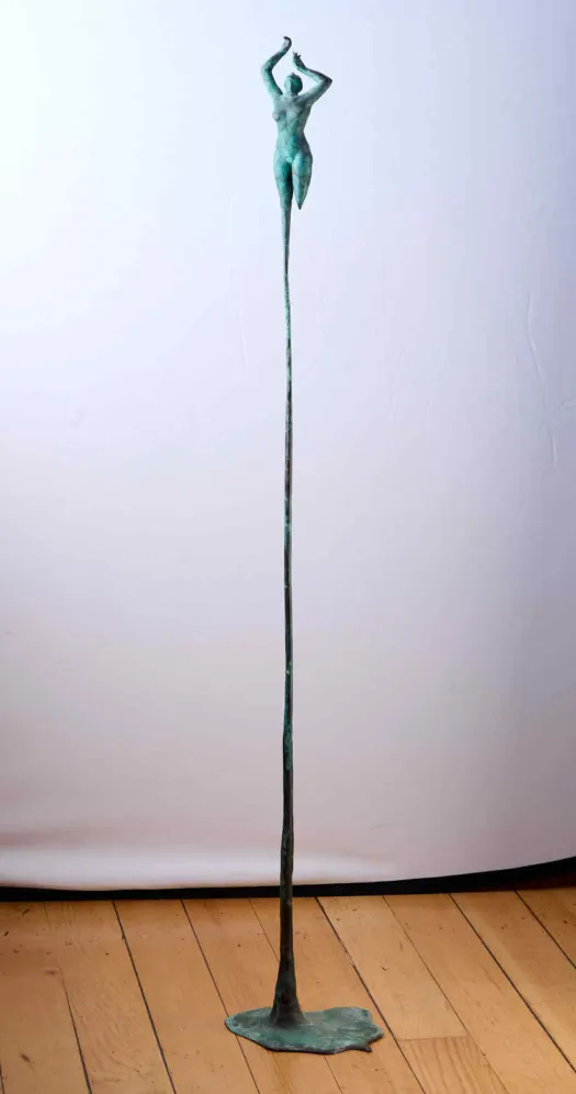 Ascension by D'Arcy Rouillard