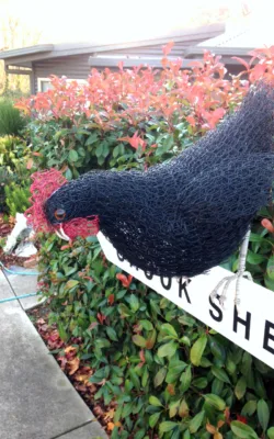 Asking for Directions by Vicki Combridge