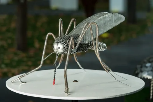 Aussie Mozzie by Lawrence Marshall