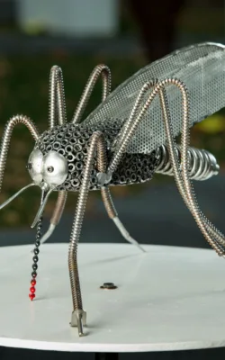 Aussie Mozzie by Lawrence Marshall