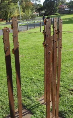 Autumn by David Doyle