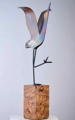 Baby Dancing Brolga by Ronald Ahl