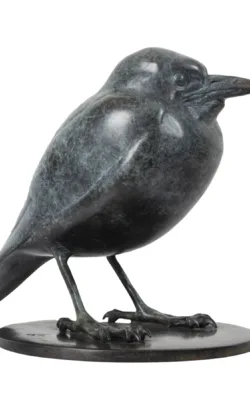 Baby Magpie by Lucy McEachern