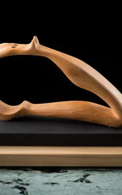 Balance by Van Phu Le