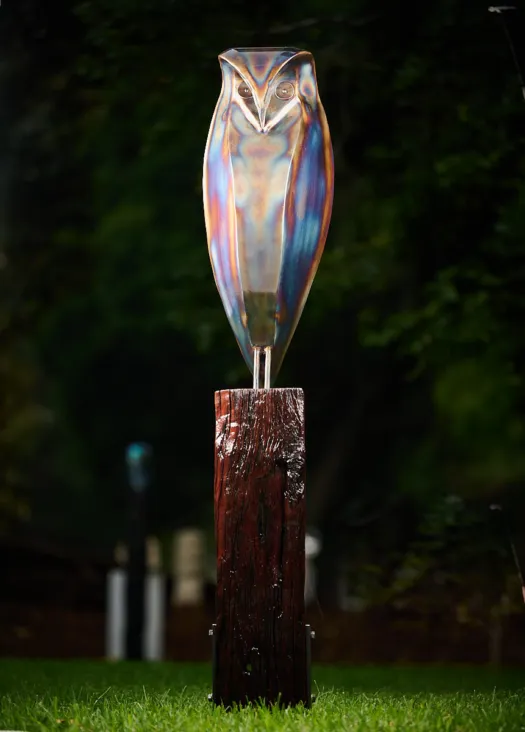 Balit-mukmuk (Wurundjeri for Powerful Owl). by Ronald Ahl