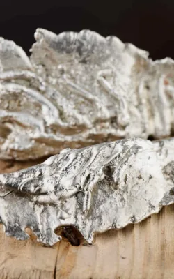 Balmain Bug in bits by Denise Honan