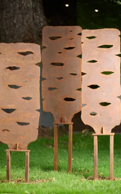 Banksia Seed Pods by David Doyle