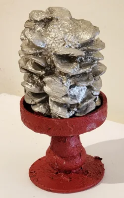 Banksia by Denise Honan