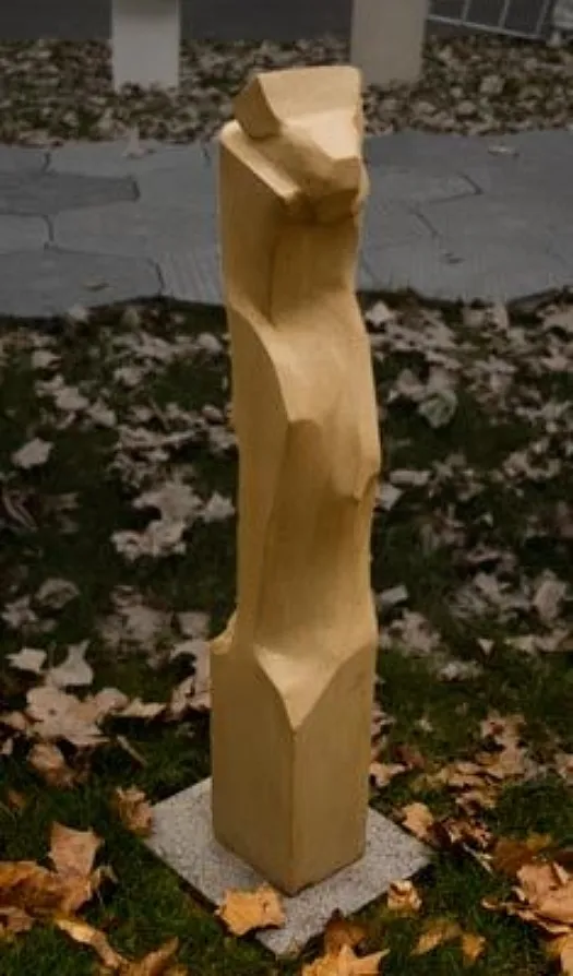 Bashful by Anthony Kim