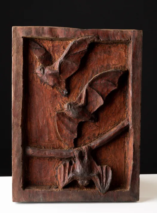 Bats by Damian Curtain