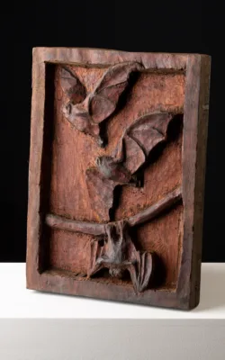 Bats by Damian Curtain