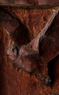 Bats by Damian Curtain