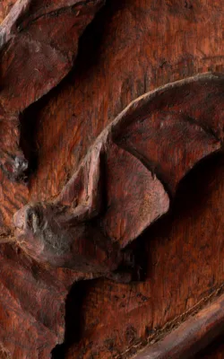 Bats by Damian Curtain