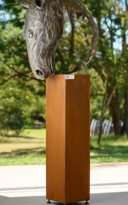 Beauty by Chris Anderson