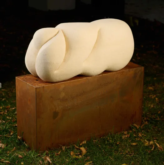 BERTHA by Clare Collins