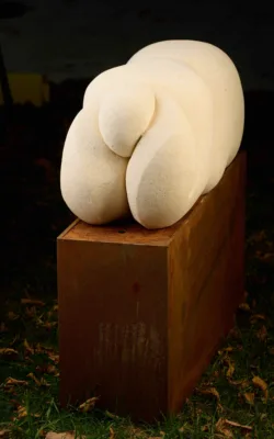 BERTHA by Clare Collins