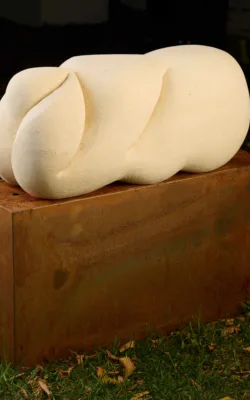 BERTHA by Clare Collins