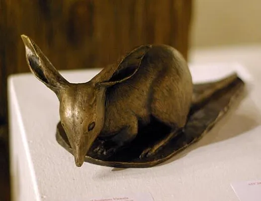 Bilby by Anna Meszaros