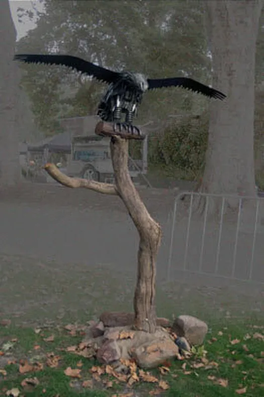 Bird of Prey by Lawrence Marshall
