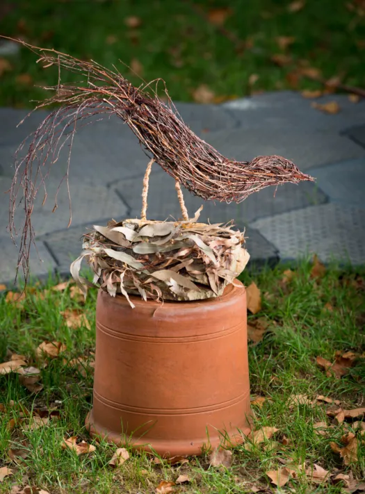 Bird of the Forest by Bronwyn Culshaw