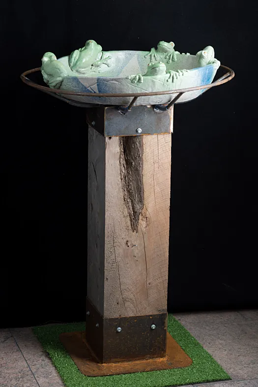 Birdbath by Graham Duell