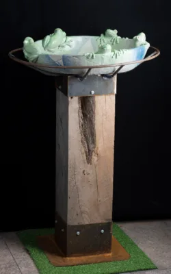 Birdbath by Graham Duell