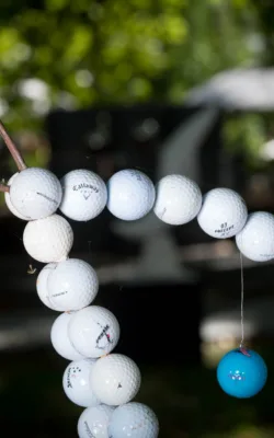 Birdie by Mary Van den Broek