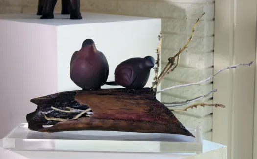 Birds nest by Veronique Derville