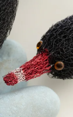 Black Swan # 2 by Vicki Combridge