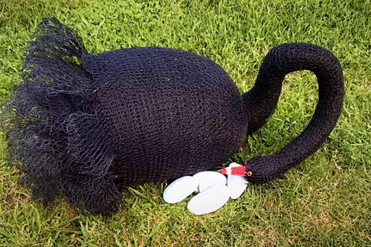 Black Swan by Vicki Combridge