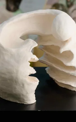 Bleached by Rachel Steinman